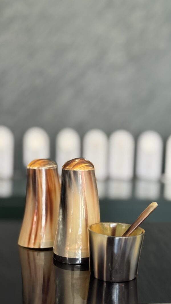 IMG_0013 Salt and Pepper Shaker Set